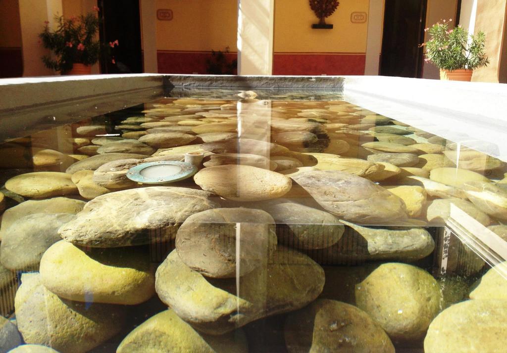 Hotel Boutique Las Palomas De Santiago Pueblo Magico Εξωτερικό φωτογραφία